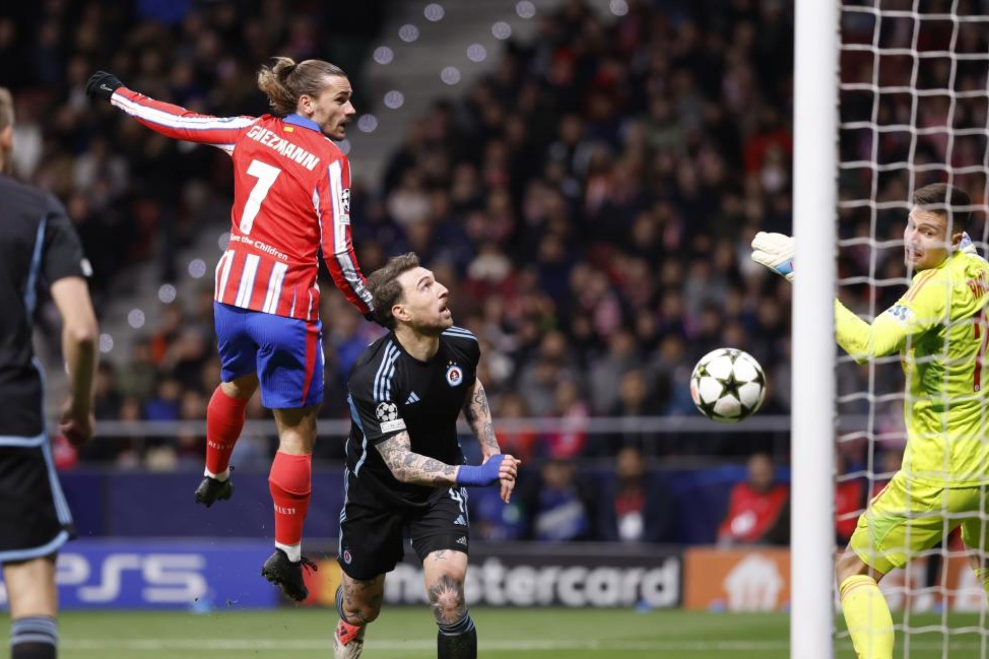 的尼尔森 的尼尔森