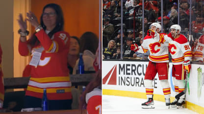 寶安落羽杉 寶安落羽杉